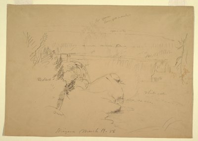 Teckning, Niagarafallen, vy från Goat Island, 19 mars 1856 av Frederic Edwin Church