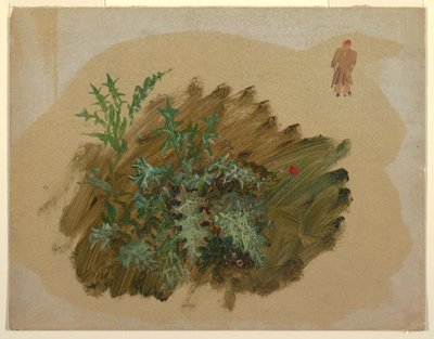 Teckning, Växtstudier, 1865 av Frederic Edwin Church