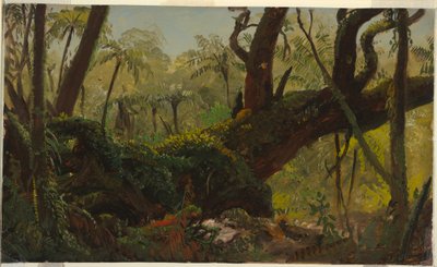 Teckning, regnskog, Jamaica, Västindien, april-augusti 1865 av Frederic Edwin Church