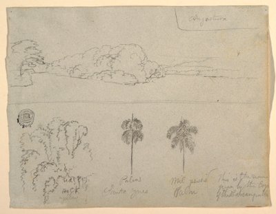 Teckning, Skisser från Colombia:  Stranden vid en flod eller vik, och träd, 1853 av Frederic Edwin Church