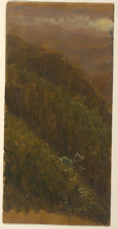 Ritning, Brant sluttning, juli 1865 av Frederic Edwin Church