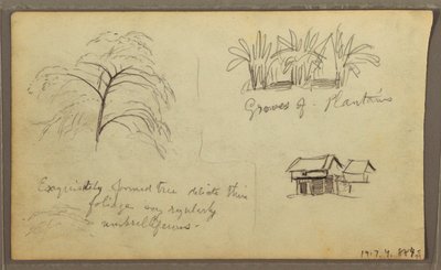 Teckning, gathörn i Guaquil, Ecuador; Verso: Botaniska skisser, hus, Ecuador eller Colombia, 1857 av Frederic Edwin Church