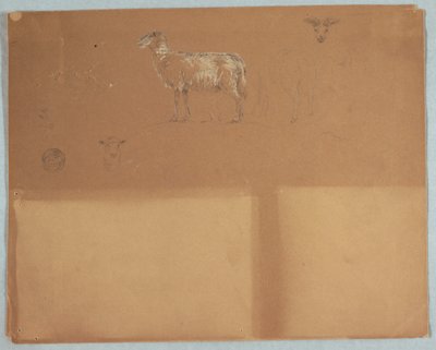 Teckning, Studier av får, Ecuador eller Colombia, 1853 av Frederic Edwin Church