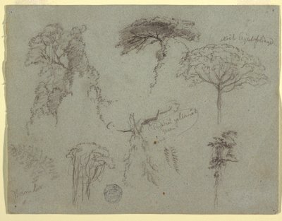Teckning, Studier av träd, Ecuador, 1853 av Frederic Edwin Church