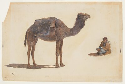 Teckning, studie av en dromedar, 1868 av Frederic Edwin Church