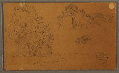 Teckning, Träd, 1857 av Frederic Edwin Church