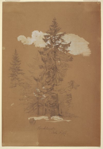 Teckning, Träd, Berchtesgaden, Bayern, 3 juli 1868 av Frederic Edwin Church