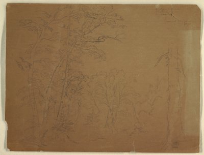 Teckning, Träd, Grand Manan Island, Kanada, 1851 av Frederic Edwin Church