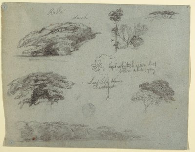 Teckning, Träd, trädtoppar och en skogsbeklädd bank, Saddleback, Maine, 1853 av Frederic Edwin Church