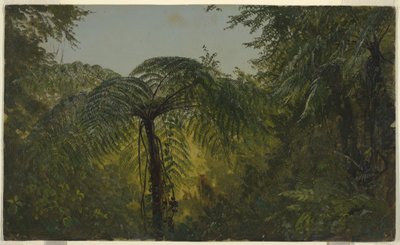 Teckning, Tropiskt landskap, juni eller juli 1865 av Frederic Edwin Church