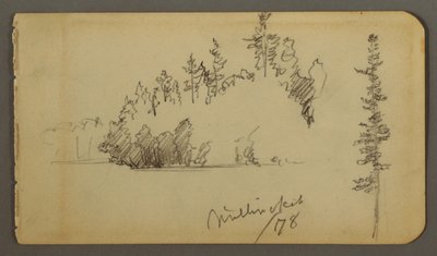 Teckning, Skogsklädd strand, trädstudie, 1878 av Frederic Edwin Church