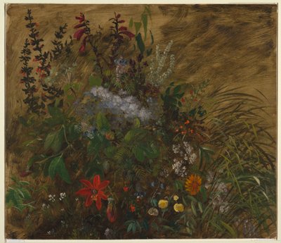 Blommor på Jamaica av Frederic Edwin Church