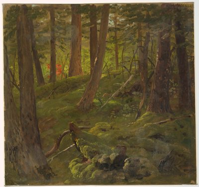 Skog på Jamaica av Frederic Edwin Church
