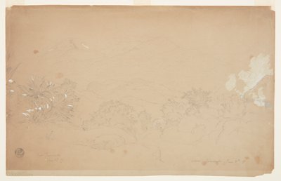 Landskap nära Guaranda, Ecuador av Frederic Edwin Church