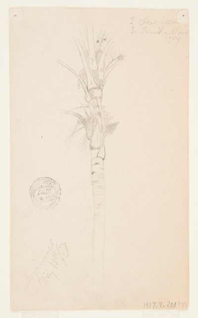 Blad och stam av ett palmträd, Aspinwall, Panama av Frederic Edwin Church