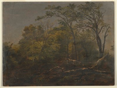 Maine Woods av Frederic Edwin Church