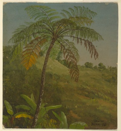 Palmträd, Jamaica av Frederic Edwin Church