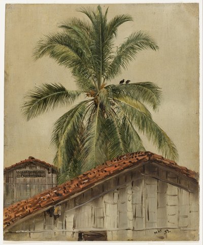 Palmer och hustak, Ecuador av Frederic Edwin Church