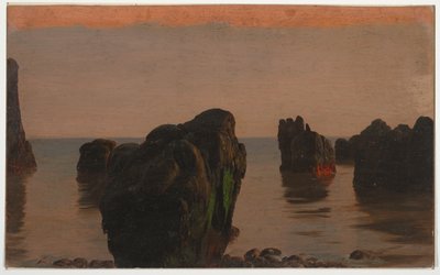 Stenar och mossa utanför Grand Manan av Frederic Edwin Church