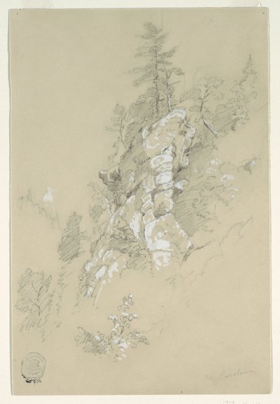Rocky Hillside, North Carolina av Frederic Edwin Church
