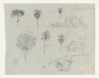 Skisser från Rio Magdalena, Colombia.  Botaniska skisser. En kyrka.  Liknar -103. av Frederic Edwin Church