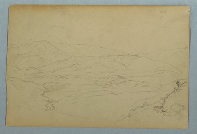 Skisser av växter och en del av balustraden som gränsar till terrassen på värdshuset i Guaranda, Ecuador av Frederic Edwin Church