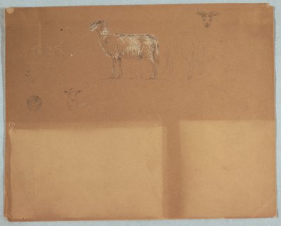 Studier av får, Ecuador eller Colombia av Frederic Edwin Church