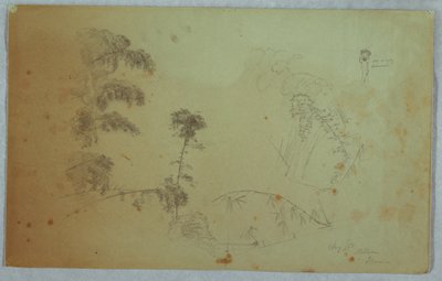 Studier av träd med detaljer av bambu och en liten detalj av en man som bär bananer på huvudet, Bellevue, Jamaica av Frederic Edwin Church