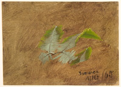 Studie av Fern, Jamaica av Frederic Edwin Church