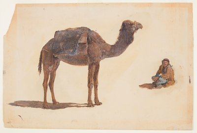 Studie av en dromedar av Frederic Edwin Church