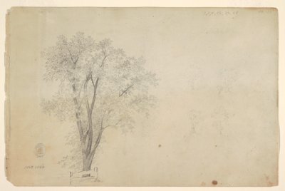 Träd av Frederic Edwin Church