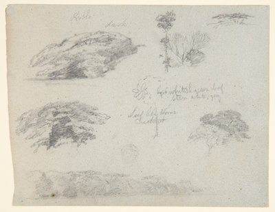 Träd, trädtoppar och en trädbevuxen bank, Saddleback, Maine av Frederic Edwin Church