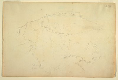 Wooded Hillside, Catskill Mountains av Frederic Edwin Church