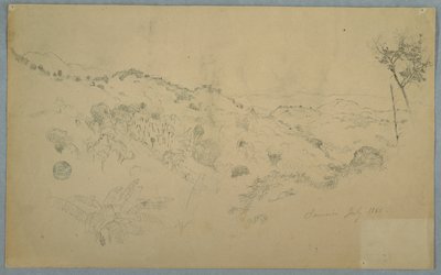 Wooded Vale med en stor ormbunke och avlägsna bergskedjor, Jamaica av Frederic Edwin Church