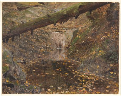 Woodland Stream, möjligen Mt. Desert, Maine av Frederic Edwin Church