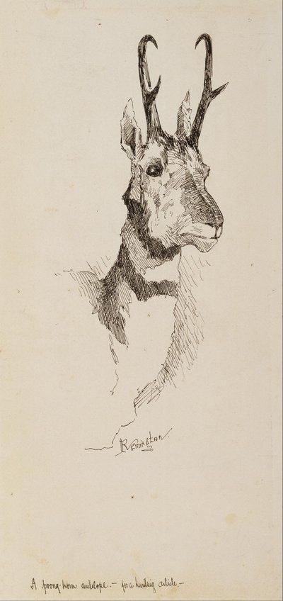 En Pronghorn-antilop av Frederic Remington