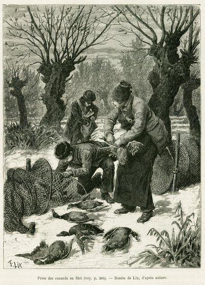 Fånga ankor i nätet. Gravyr av Lix, för att illustrera berättelsen A Through Alsace and Lorraine, 1887, av Charles Grad, tysk deputerad, i tour du monde 1888, regisserad av Edouard Charton (1807-1890), Hachette, Paris. av Frederic Theodore Lix