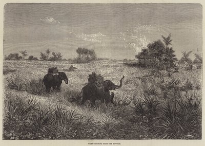 Indien och prinsen av Wales, tigerskytte från Howdah av Frederic Theodore Lix