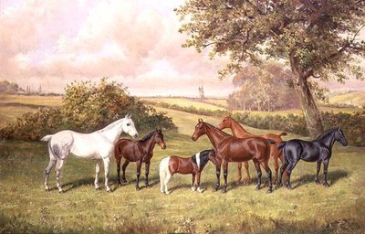 En grupp ponnyer av Frederick Albert Clark