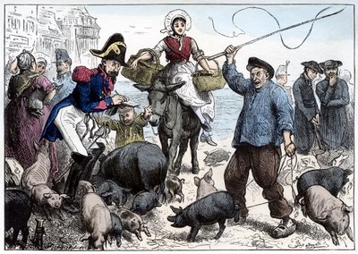 Grismarknad, Boulogne av Frederick Barnard
