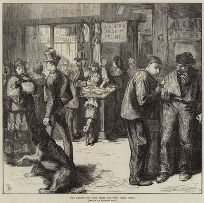 Marknaden för hundkött och kattkött, Paris av Frederick Barnard