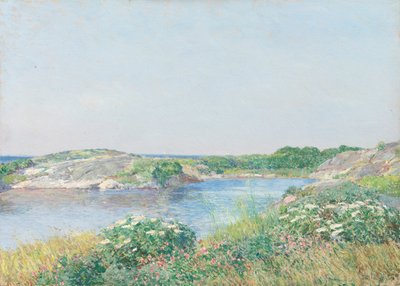 Den lilla dammen, Appledore, 1890. av Frederick Childe Hassam
