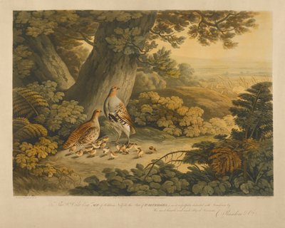 swed av Frederick Christian Lewis