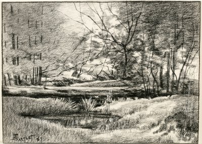 Pool i Adirondacks av Frederick Eugene Bartlett