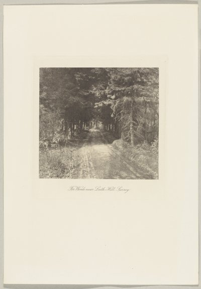 Granskog nära Leith Hill, Surrey av Frederick H. Evans