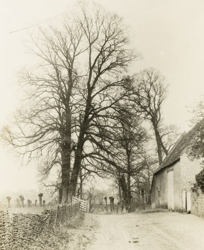 Kelmscott Manor: Väg och ingång av Frederick H. Evans