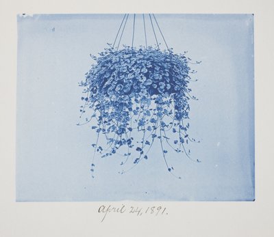 Namnlös, 24 april av Frederick K. Coulson