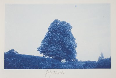 Namnlös, 19 juli av Frederick K. Coulson