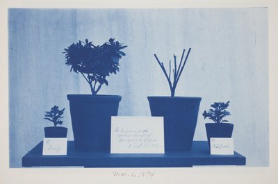 Namnlös, 1 mars av Frederick K. Coulson