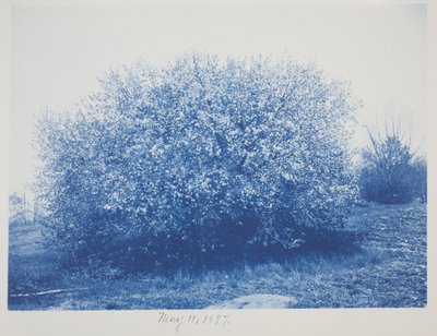 Namnlös, 11 maj av Frederick K. Coulson